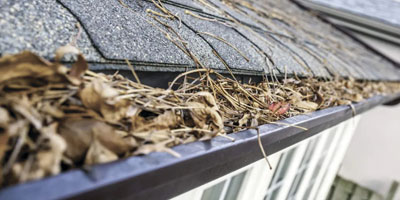 Gutter Cleaning