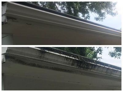 Gutter Cleaning